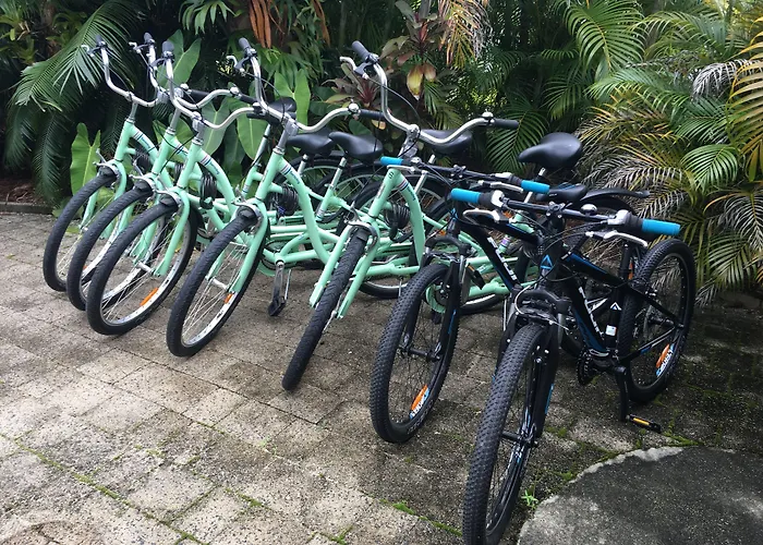 Oasis Inn Apartments